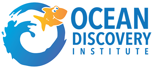 odi_logo.png